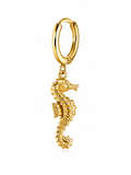 Charm hippocampe